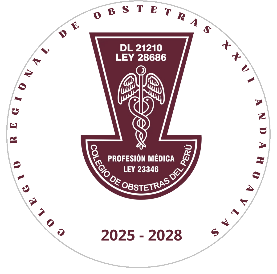 Logo Colegio Regional de Obstetras XXVI